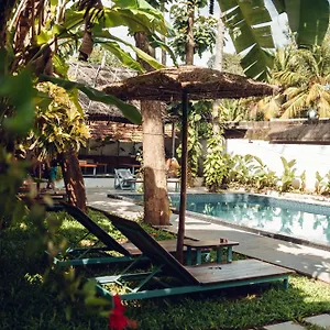 paddlecult-surf-retreat.kerala-hotels.net/