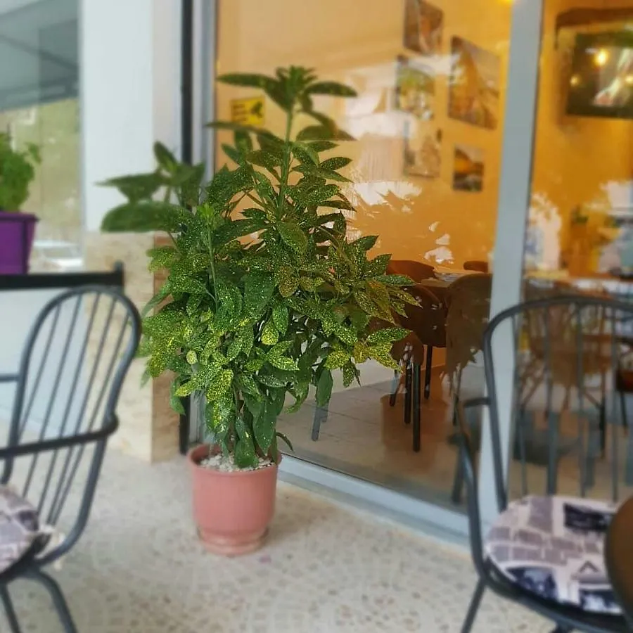 Dimitri Guest House Përmet